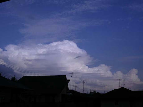 DSCN6111.jpg