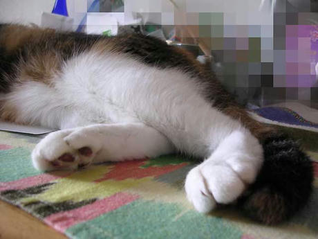 DSCN5797.jpg