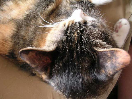 DSCN6064.jpg