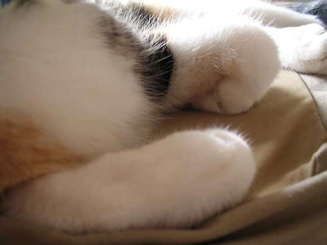 DSCN6065.jpg