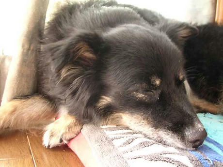 DSCN6120.jpg