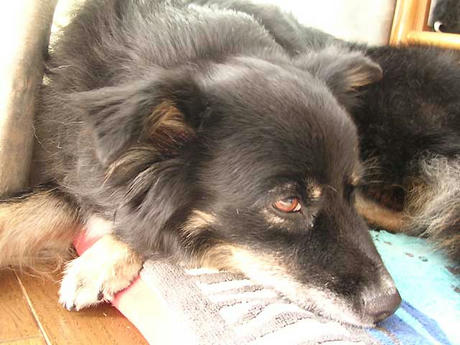 DSCN6119.jpg