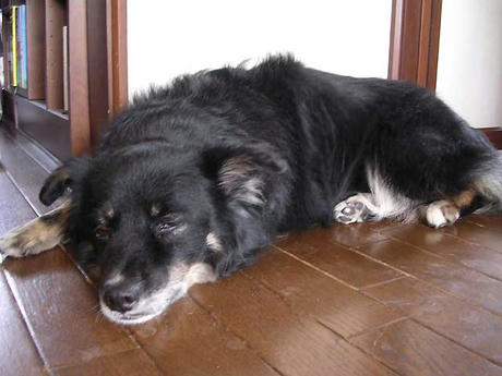 DSCN6237.jpg