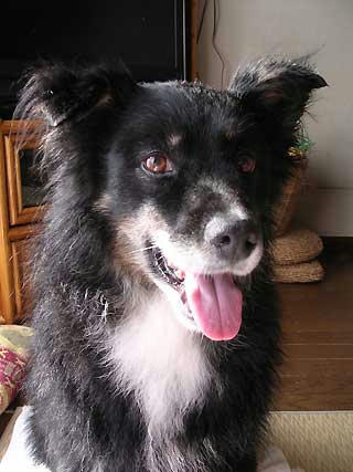 DSCN6238.jpg