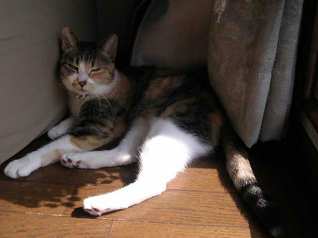 DSCN6281.jpg