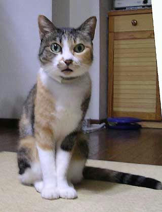 DSCN6294.jpg