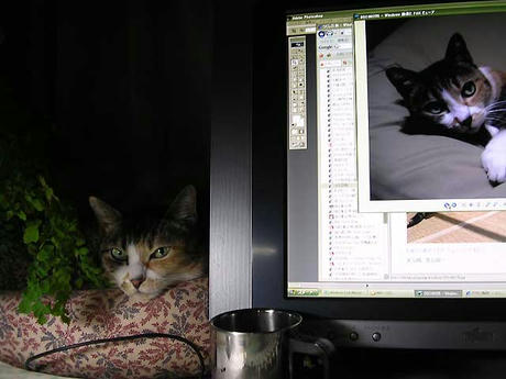 DSCN6302.jpg