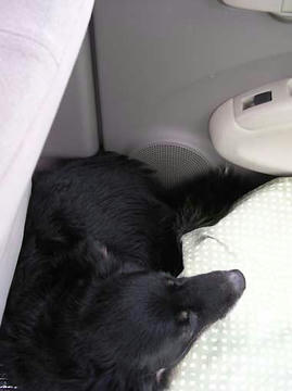 DSCN6305.jpg