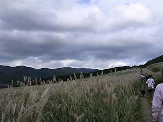 DSCN6307.jpg