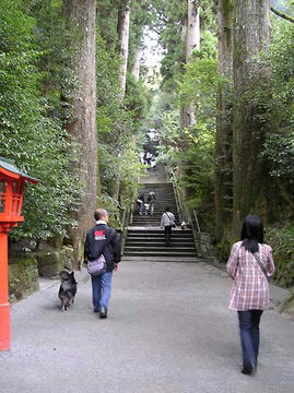 DSCN6319.jpg