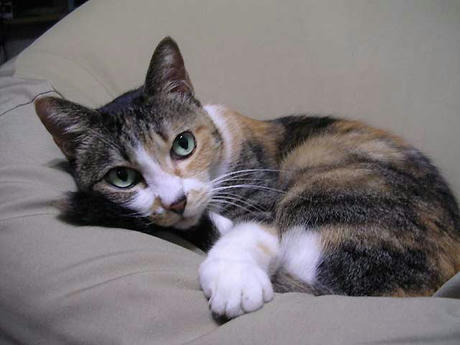 DSCN6295.jpg