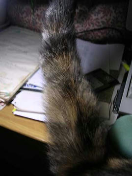 DSCN6349.jpg