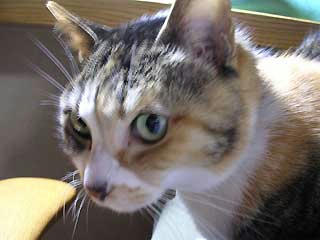 DSCN6351.jpg