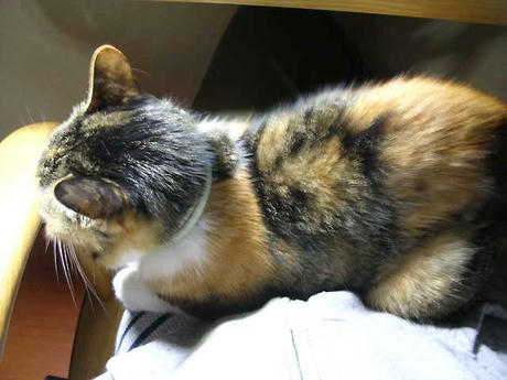 DSCN6353.jpg