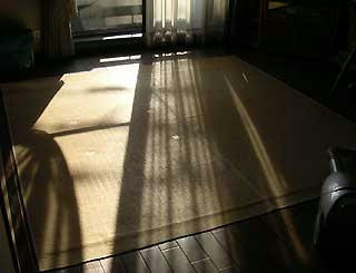 DSCN6367.jpg
