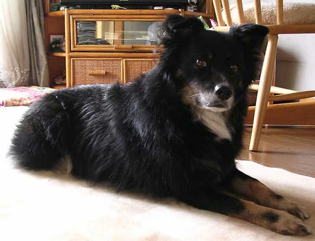 DSCN6372.jpg