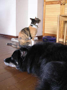 DSCN6373.jpg