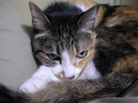 DSCN6430.jpg