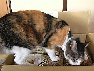 DSCN6500.jpg