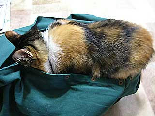 DSCN6557.jpg