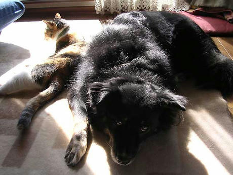 DSCN6528.jpg