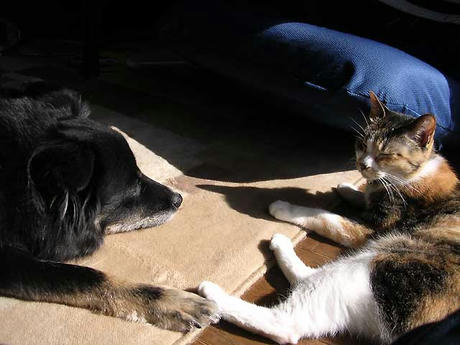 DSCN6538.jpg
