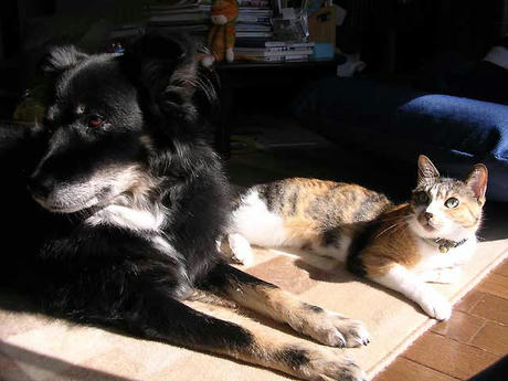 DSCN6537.jpg
