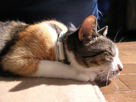DSCN6536.jpg