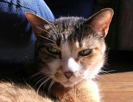 DSCN6540.jpg
