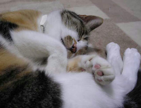 DSCN6696.jpg