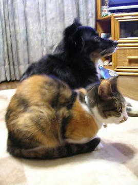 DSCN6698.jpg