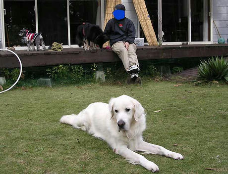 DSCN6592.jpg