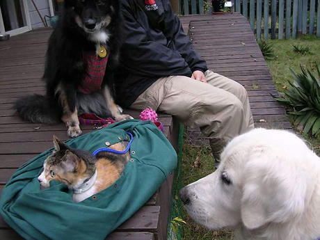 DSCN6618.jpg
