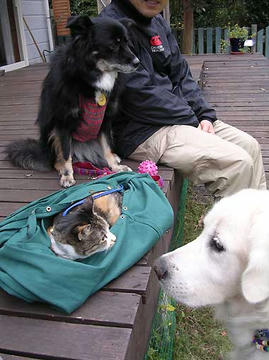 DSCN6620.jpg
