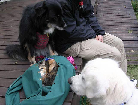 DSCN6622.jpg