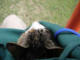 DSCN6635.jpg