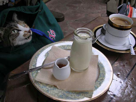 DSCN6651.jpg