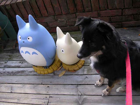 DSCN6664.jpg