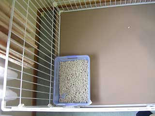 DSCN6668.jpg