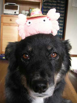 DSCN6707.jpg