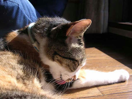 DSCN6542.jpg