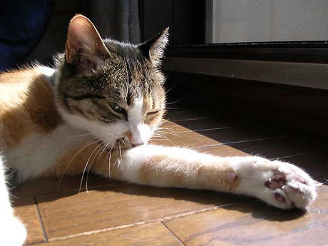 DSCN6545.jpg