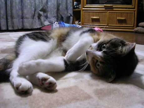 DSCN6715.jpg
