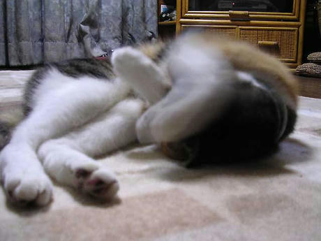DSCN6717.jpg