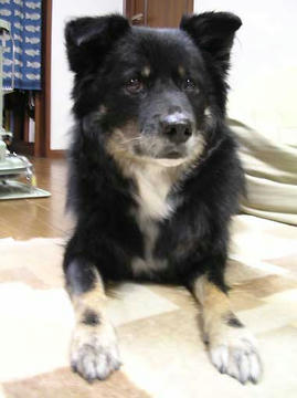 DSCN6743.jpg