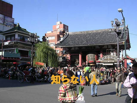 DSCN6748.jpg