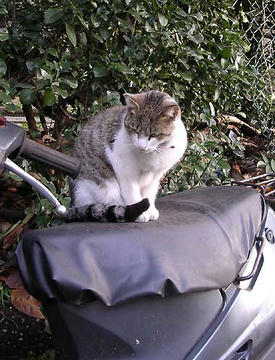 DSCN6761.jpg