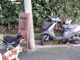 DSCN6762.jpg