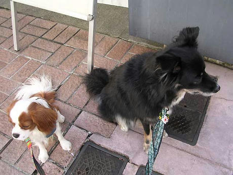 DSCN6763.jpg