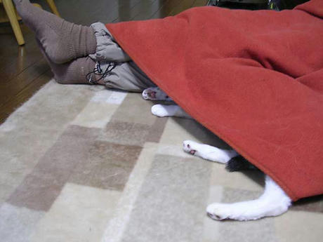 DSCN6757.jpg